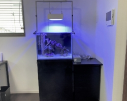 水槽正面から撮影